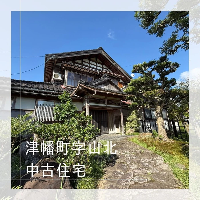 画像456