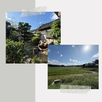 画像459