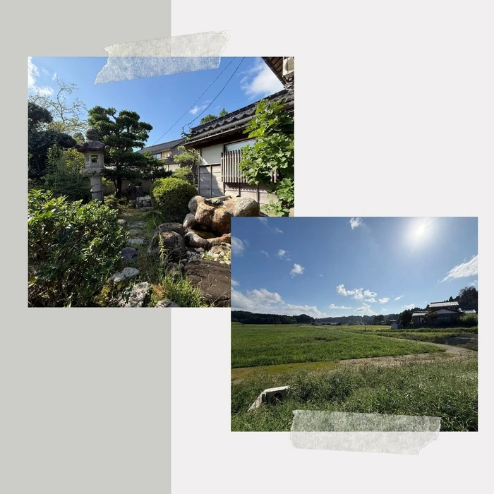 画像459
